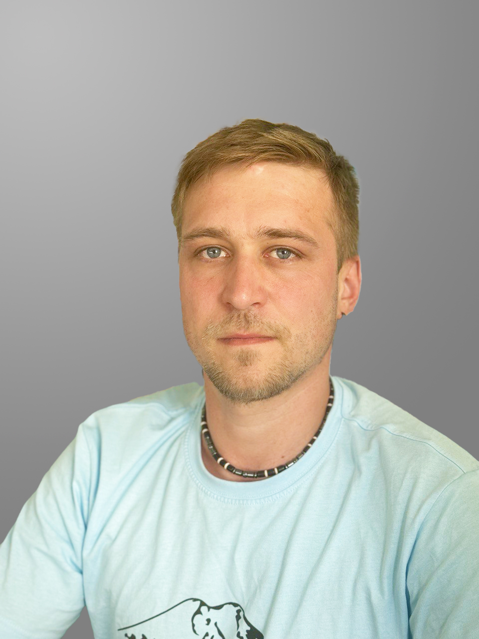 Евгений Добровицкий, Главный инженер